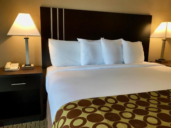 فندق فايرسايد image 68